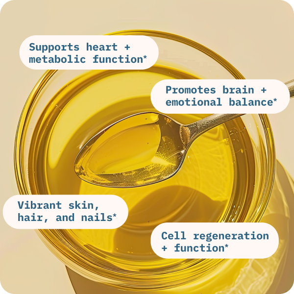 Balance Oil (Omega 6 + 3) image 1